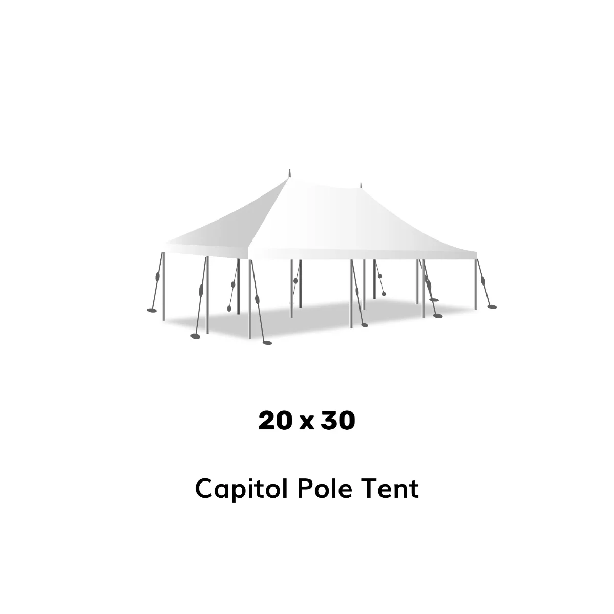 Canopy Tents 20x30 with Setup rental in Dallas TX